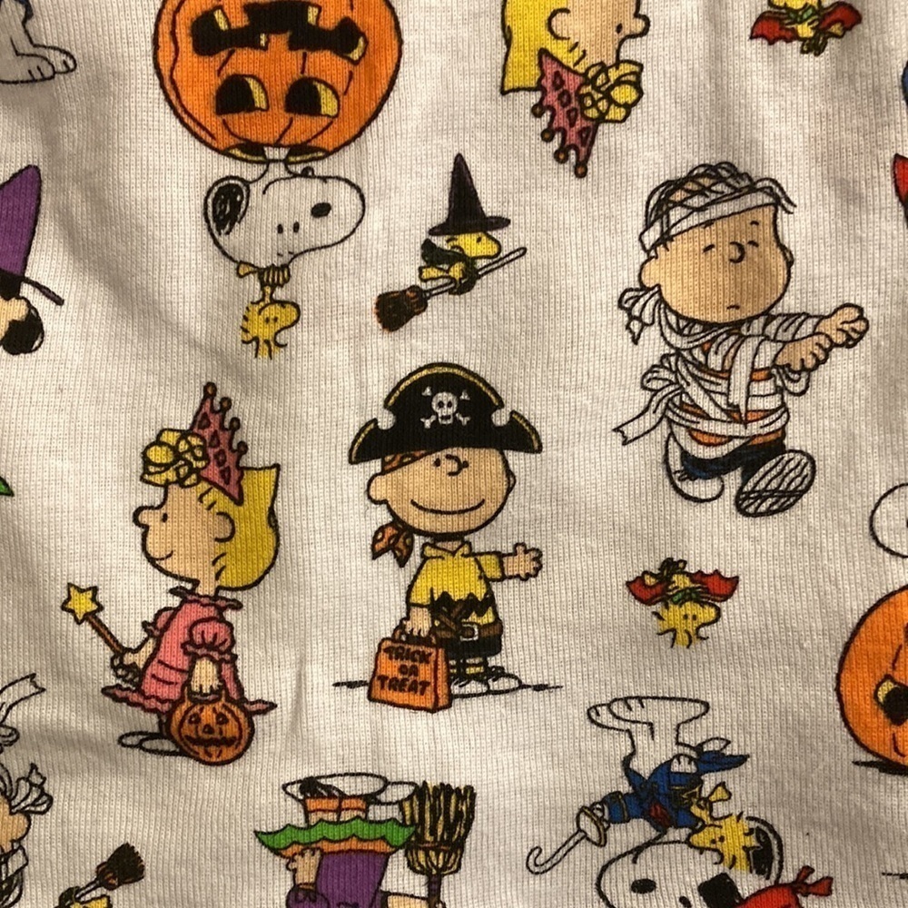 NWT PEANUTS SNOOPY CHARACTERS HALLOWEEN CHILD / KIDS SIZE 4 PAJAMAS - Picture 6 of 9